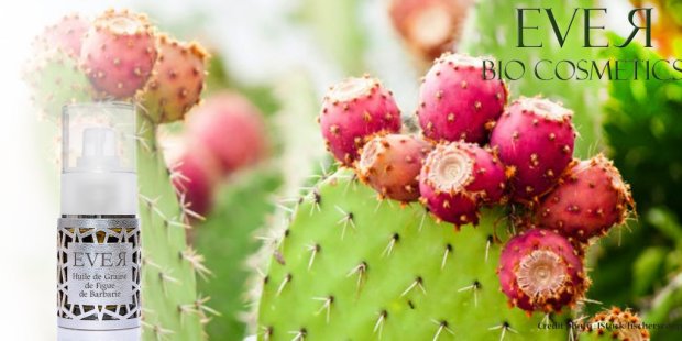 Huile de graines de figue de Barbarie