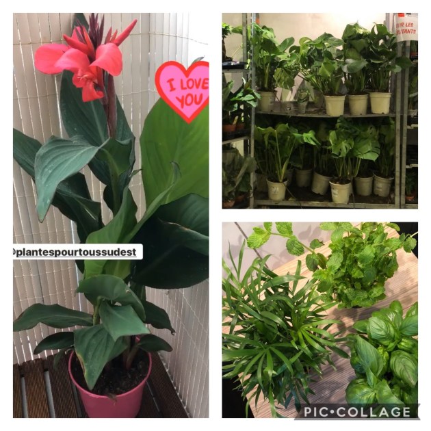 So'MakeUp Blog Plantes pour Tous Sud Est